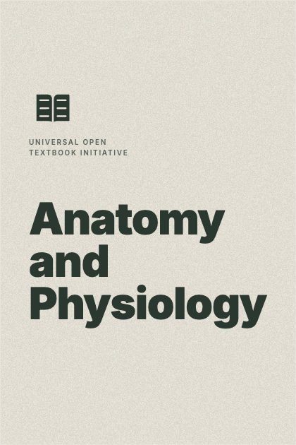 Cover of Anatomy and Physiology