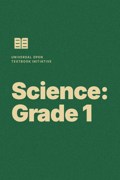 Cover of Science: Grade 1